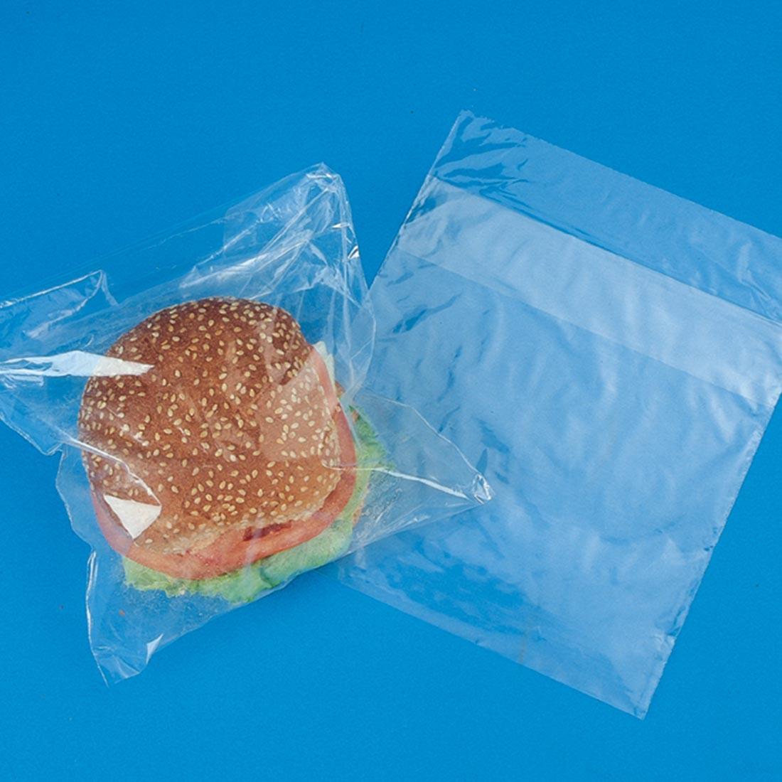 Sandwich Bags, Flip-Top Closure, 7x7in, 0.85mil, Clear, 1000/CS
